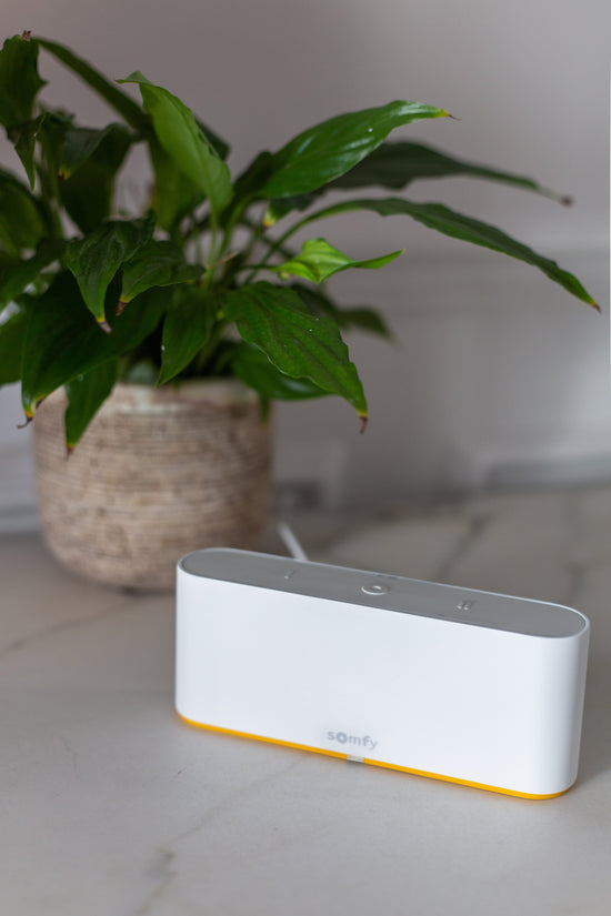 Electric Blinds in Aberdeen